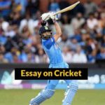 Essay on Cricket